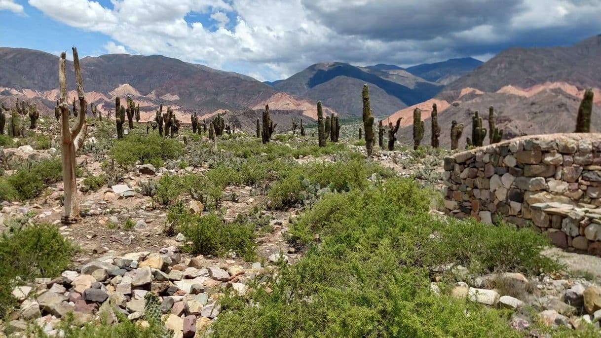 Place El Pucará de Tilcara, provincia de Jujuy, Argentina 🇦🇷