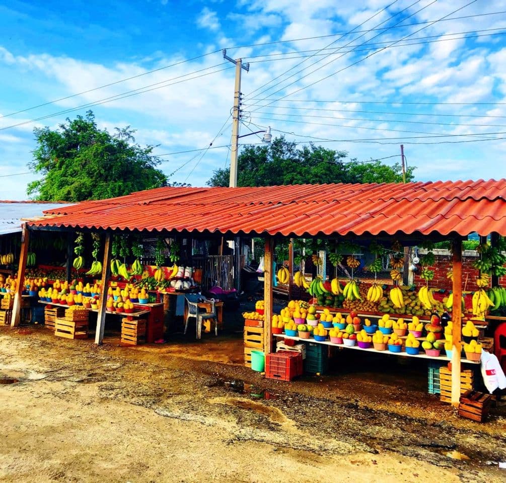 Place Ixtapa-Zihuatanejo