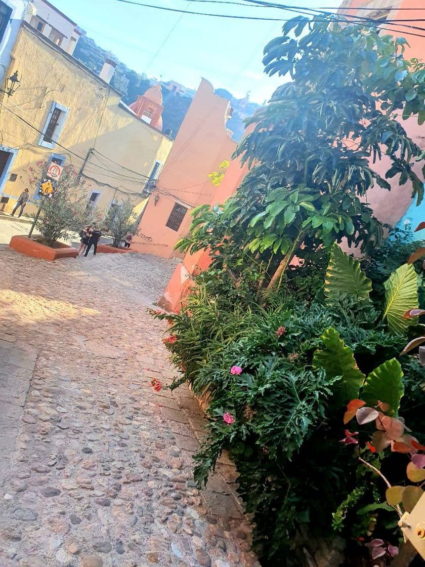 Lugar Guanajuato Centro