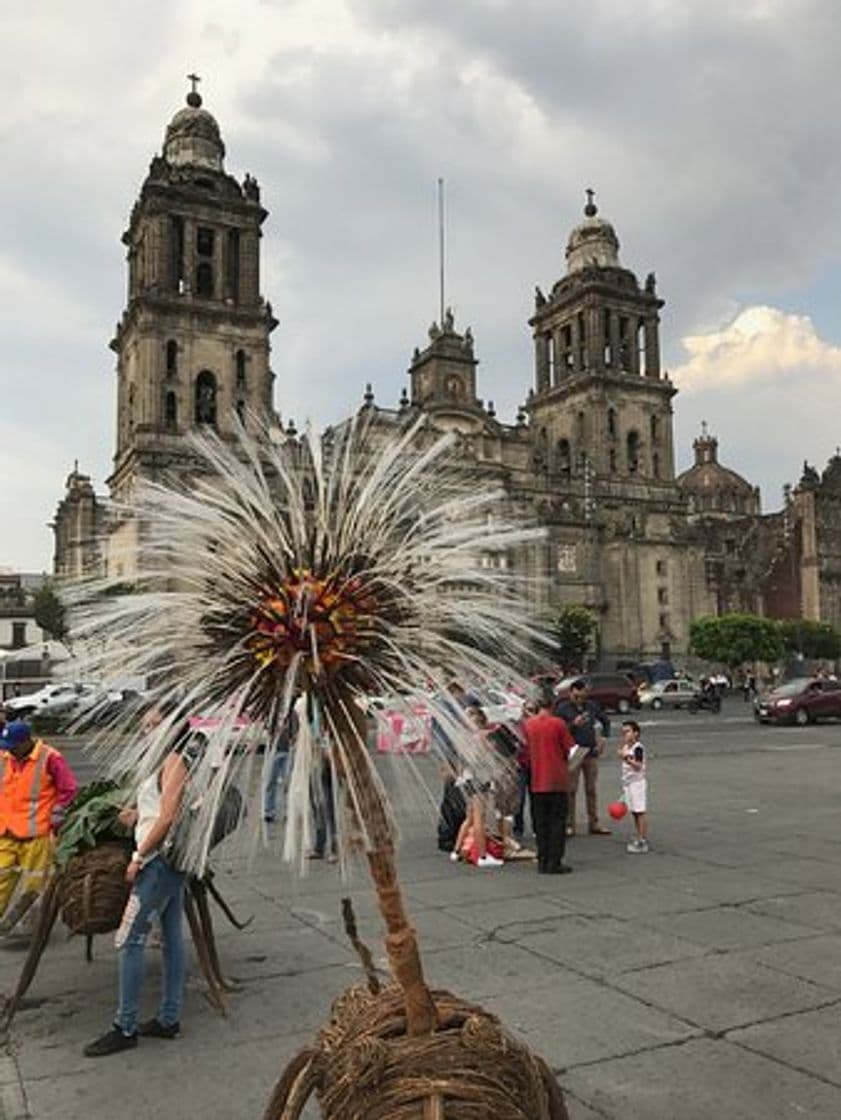 Lugar Zócalo