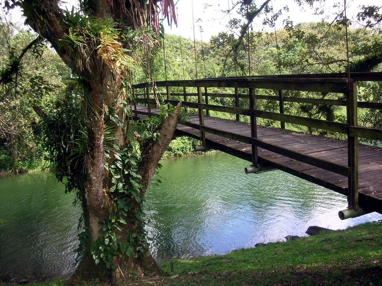 Lugar Los Naranjos