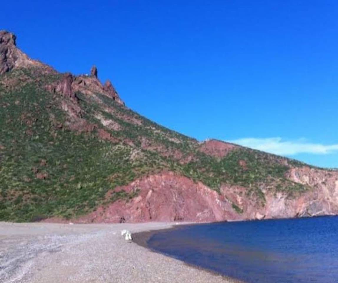 Lugar Playa Piedras Pintas