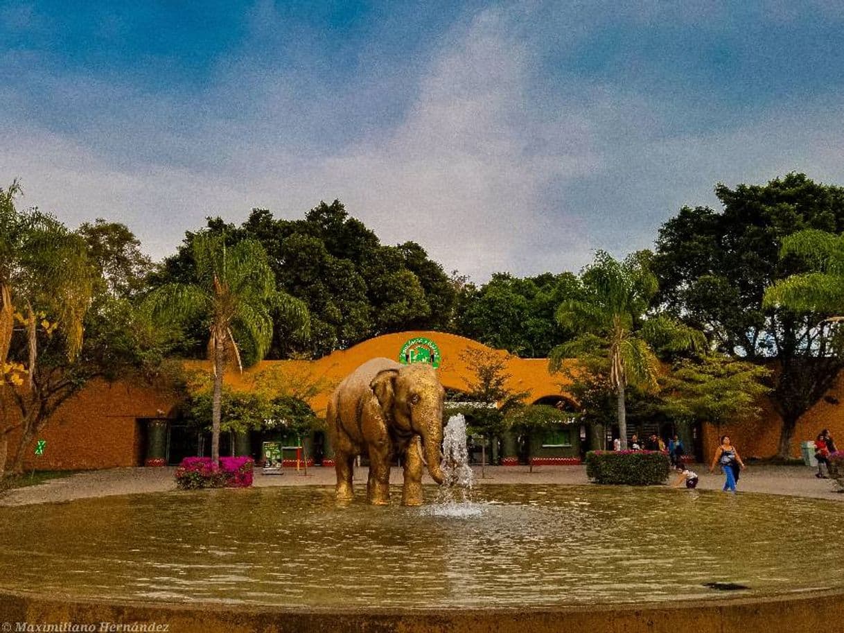 Lugar Zoológico Guadalajara