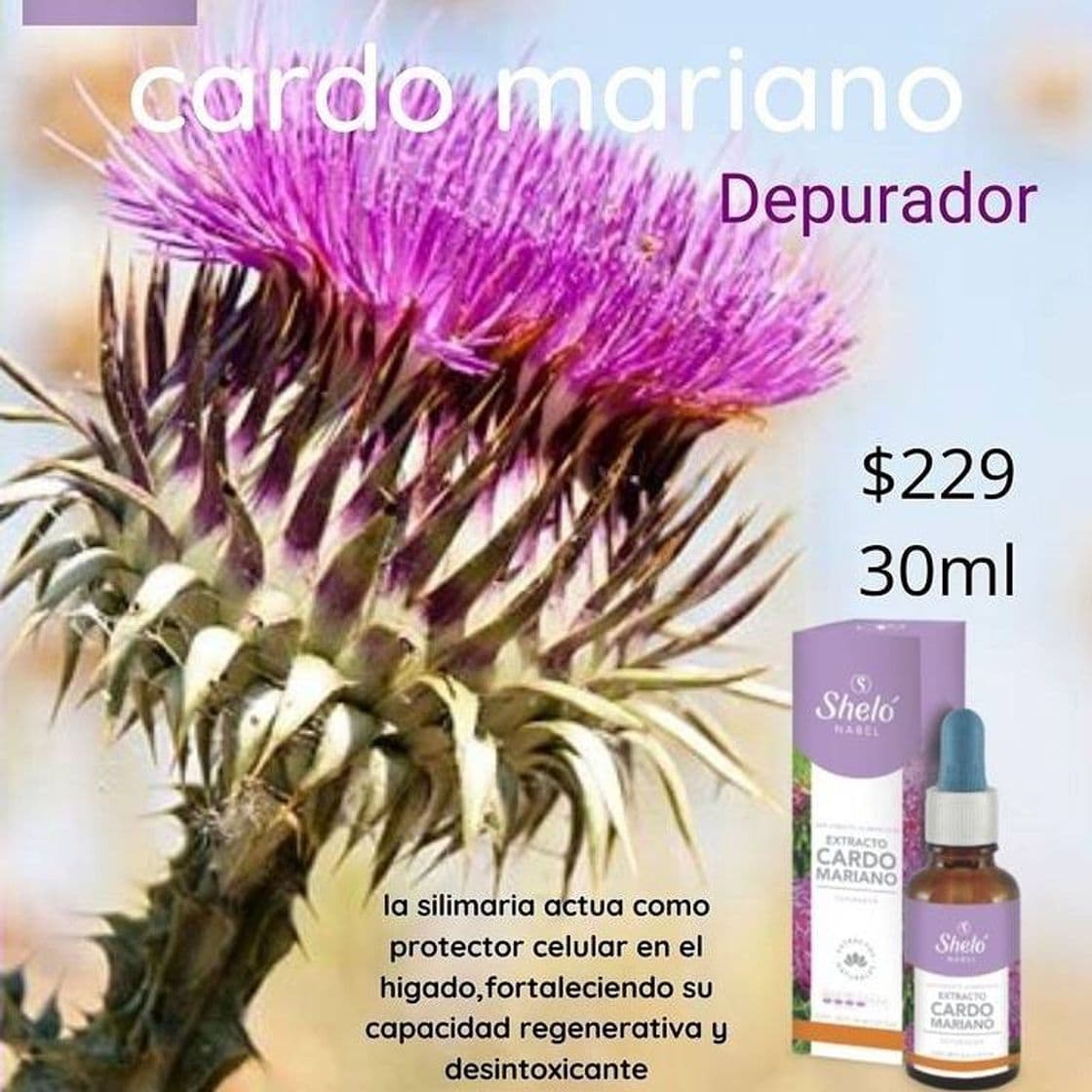 Moda Extracto Cardo Mariano 
Depurador 30 ml Clave S603
$229.00 M