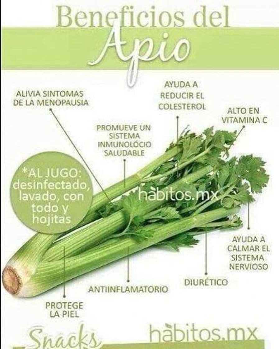 Moda Apio 🥬