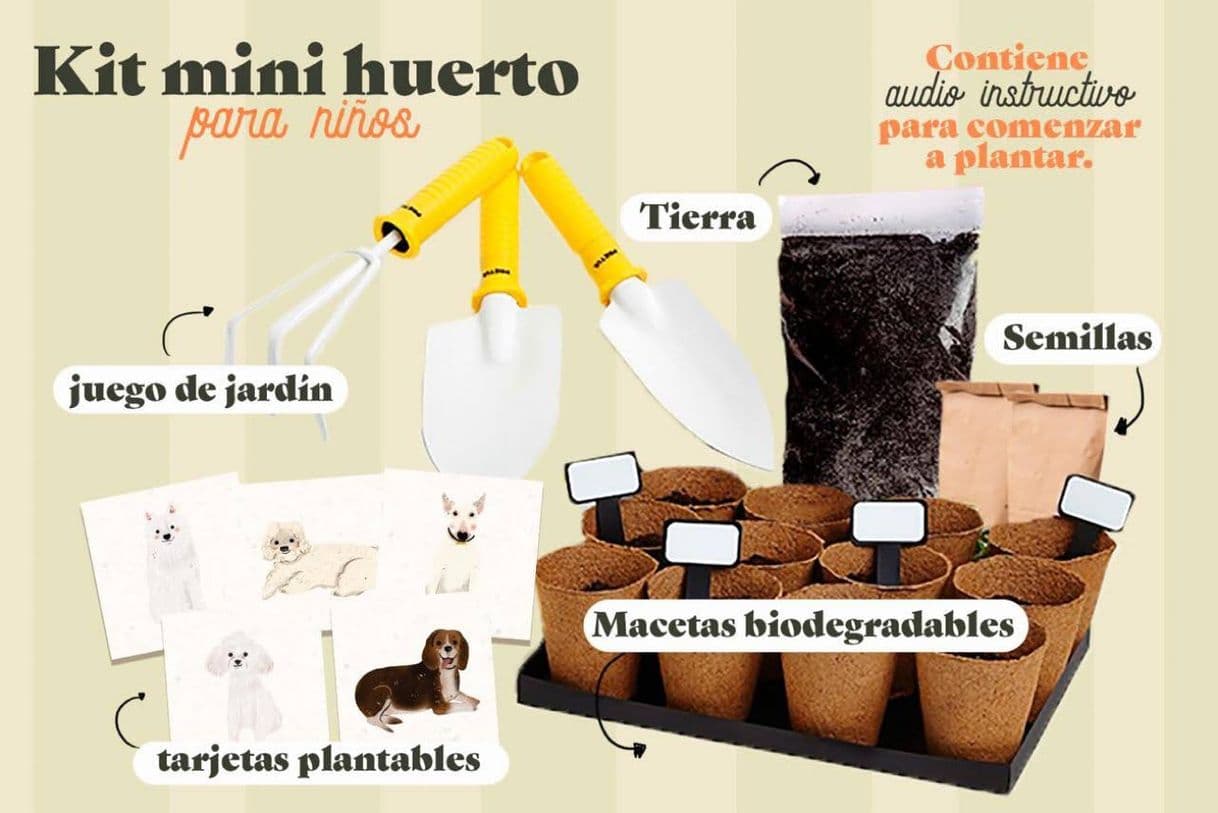 Moda Kit mini huerto para niños 🌱