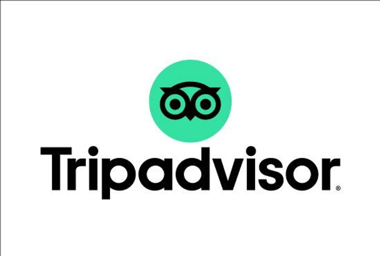 Fashion Servicio de administración de TripAdvisor para tu negocio 