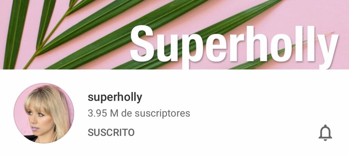 Fashion Superholly