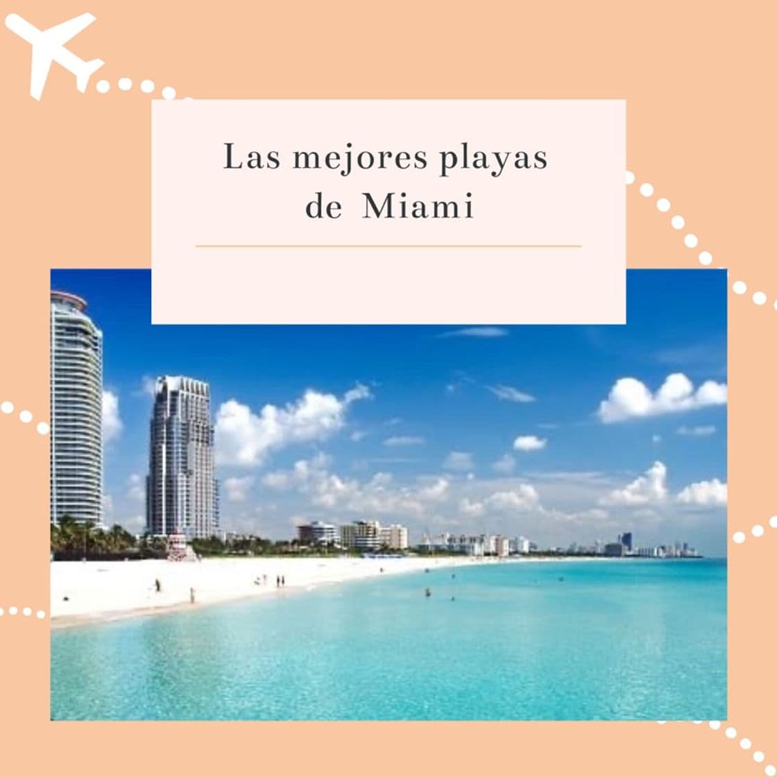 Lugar Mejores playas que visitar en Miami 