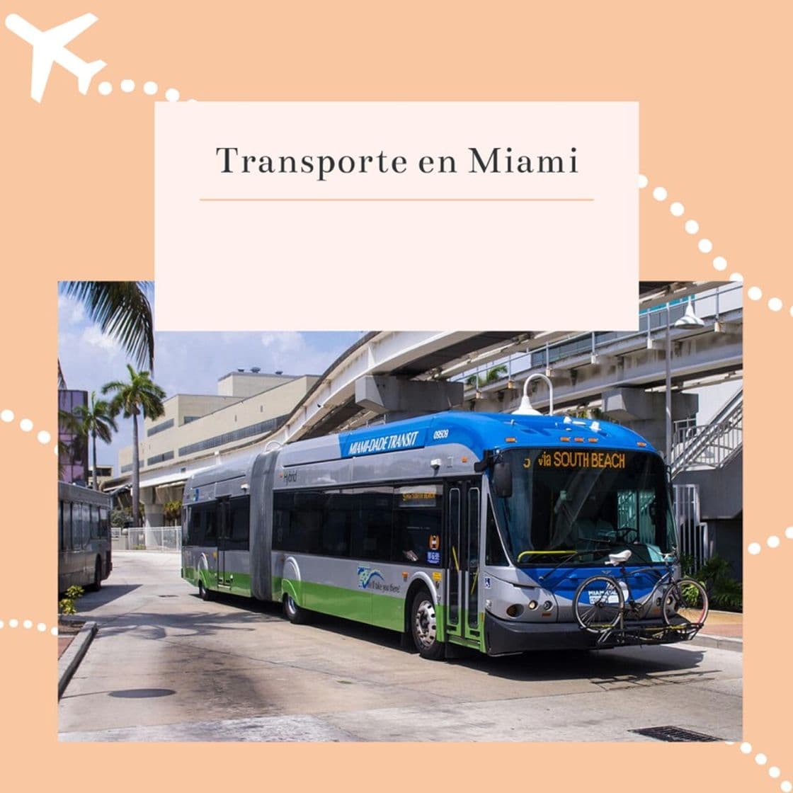 Lugar Cómo moverse por Miami: Transporte y guía de movilidad