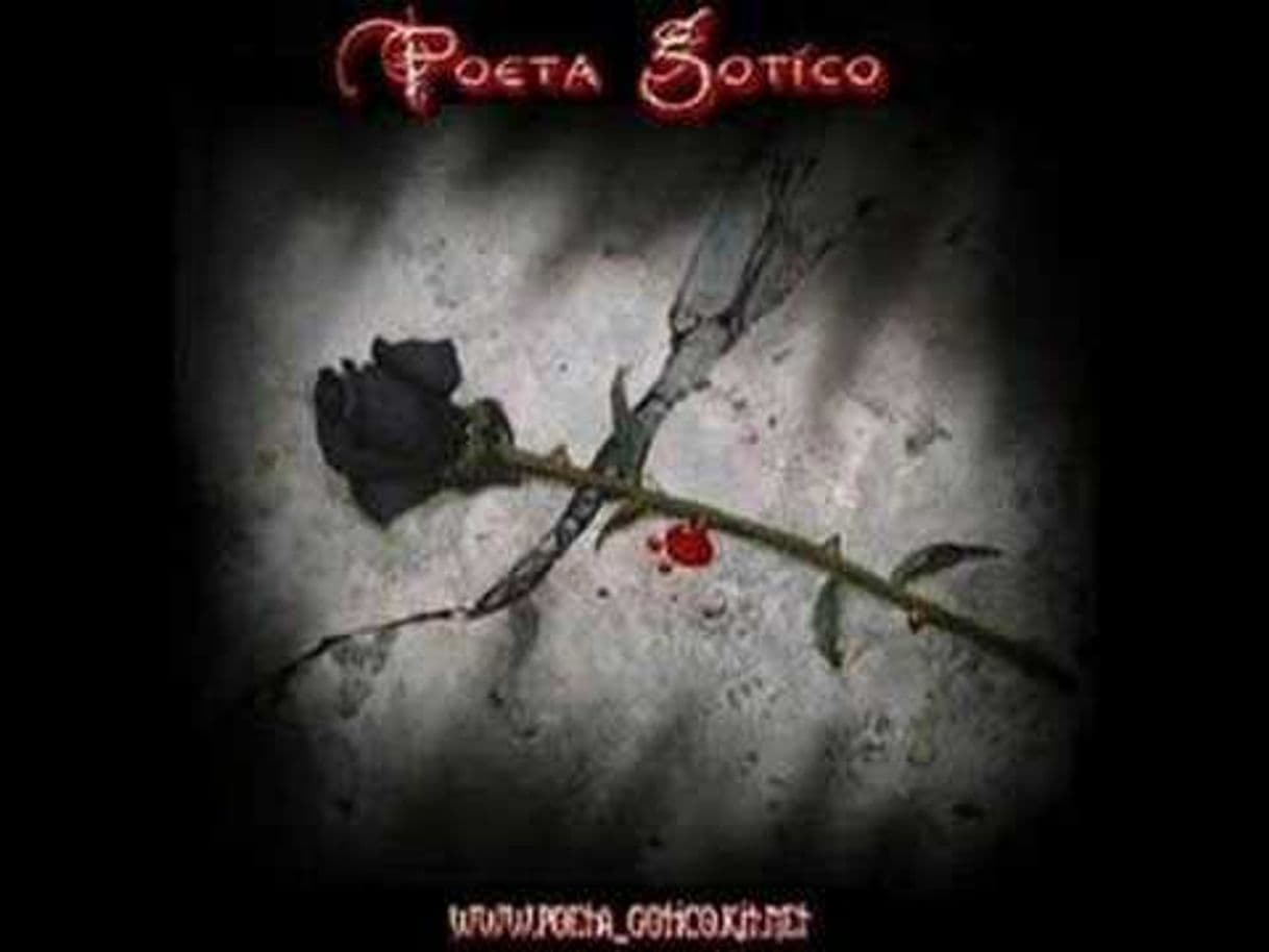 Music Mi Rosa Negra