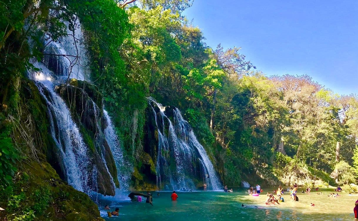 Lugar Cascadas de Tamasopo