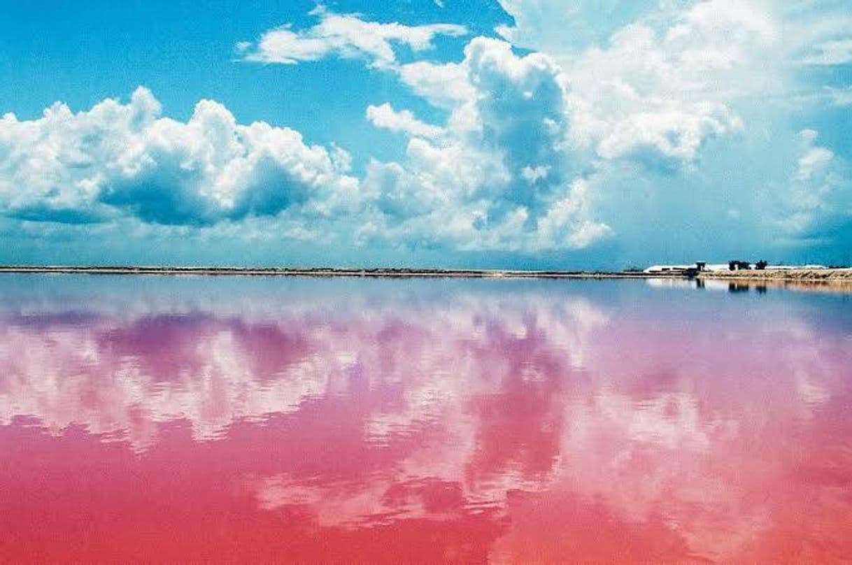 Place The Coloradas