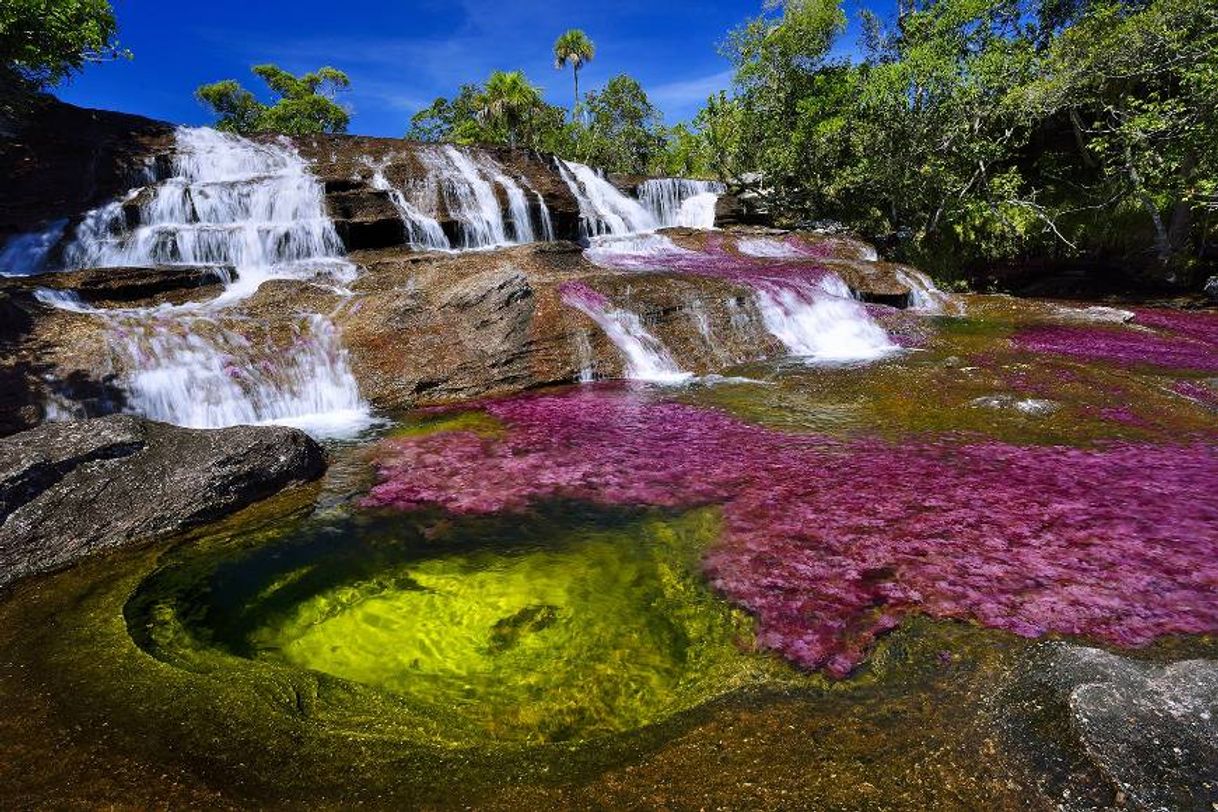 Place Caño Cristales