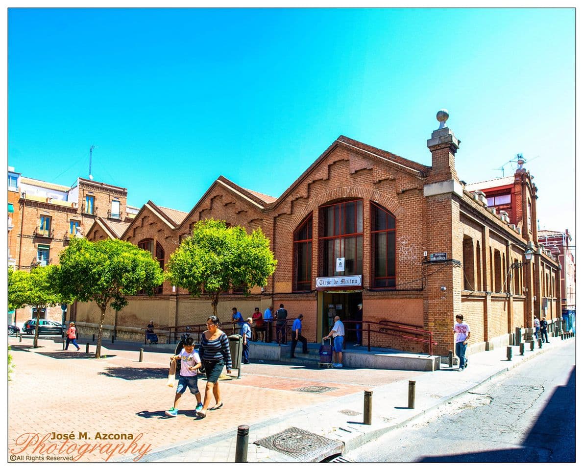 Lugar Mercado Tirso de Molina