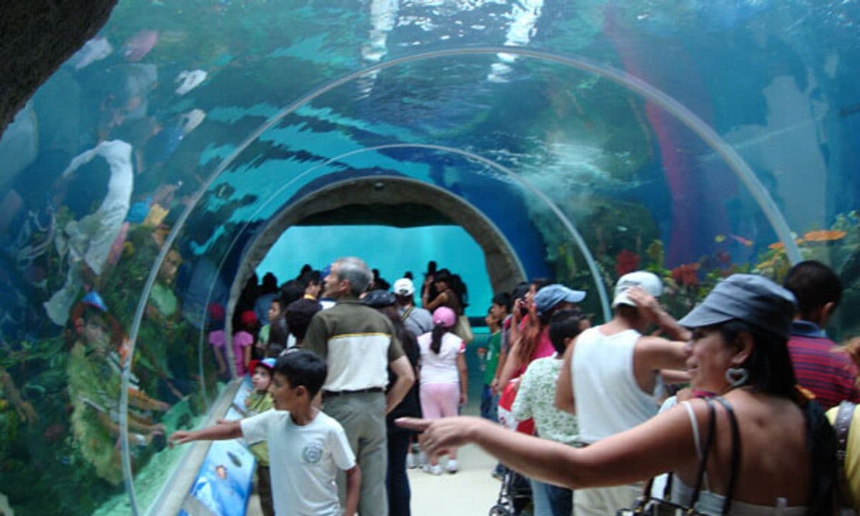 Place Zoológico Guadalara 