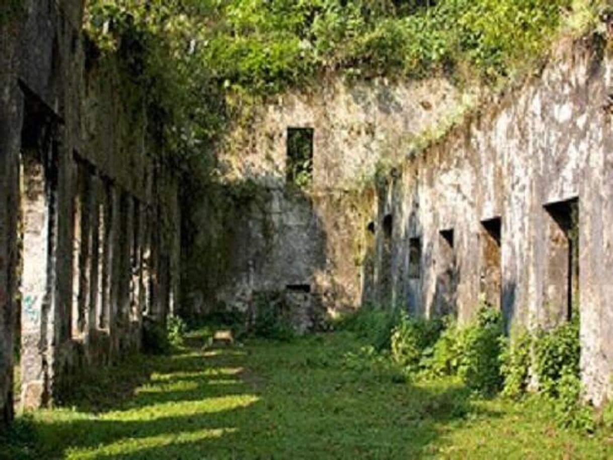 Place Xochitlán de Vicente Suárez