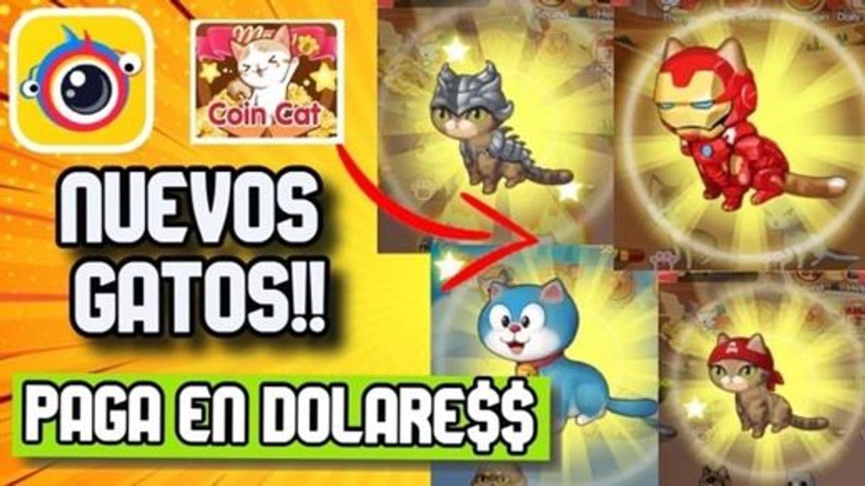 Moda Clipclaps🔥Nuevos GATOS Coint cat🐱 | Nueva Actualización | 