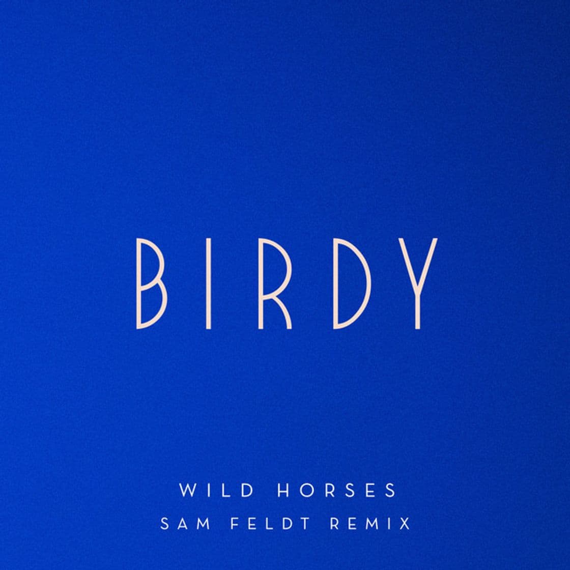 Music Wild Horses - Sam Feldt Remix