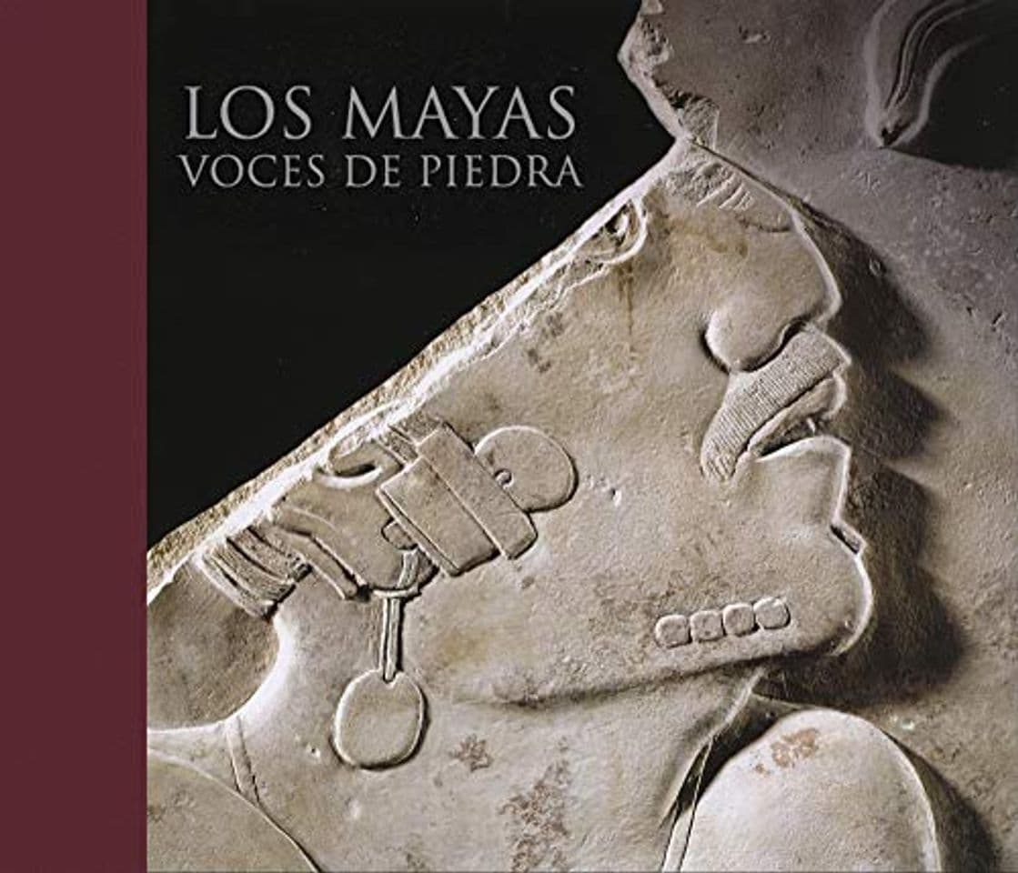 Book Los mayas: Voces de piedra