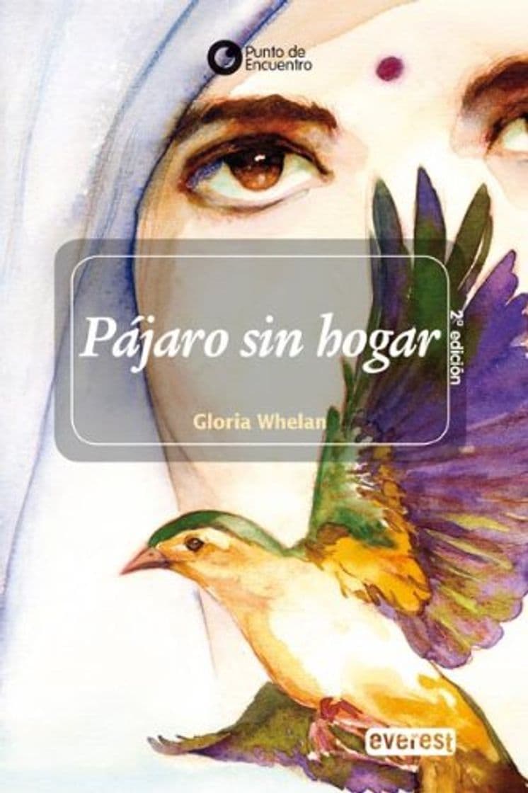 Libro Pájaro sin hogar