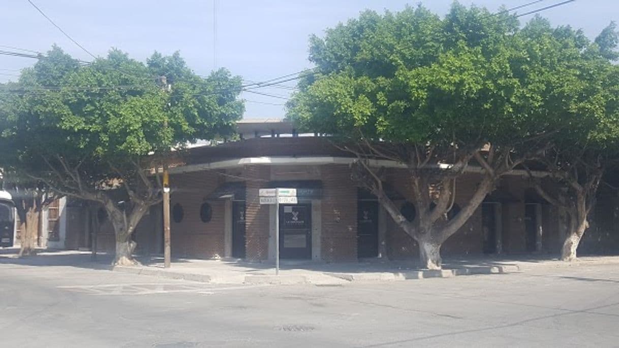 Restaurantes La Indecente Cantina