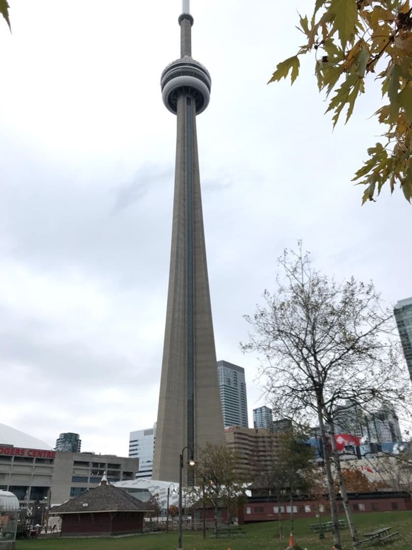 Place CN Tower