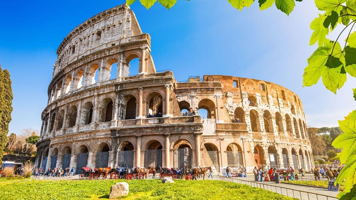 Lugar Coliseo de Roma