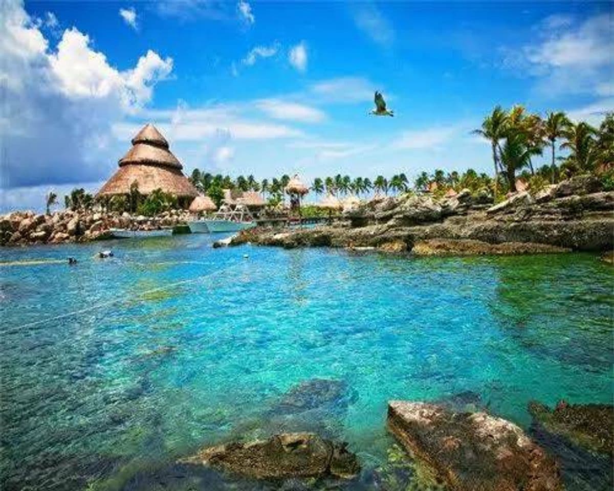 Place Riviera Maya