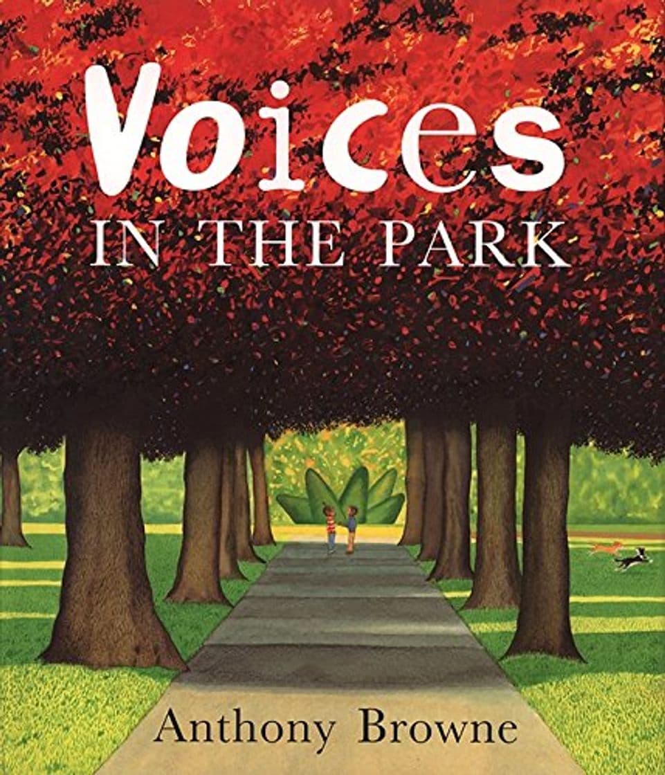 Book VOICES IN THE PARK