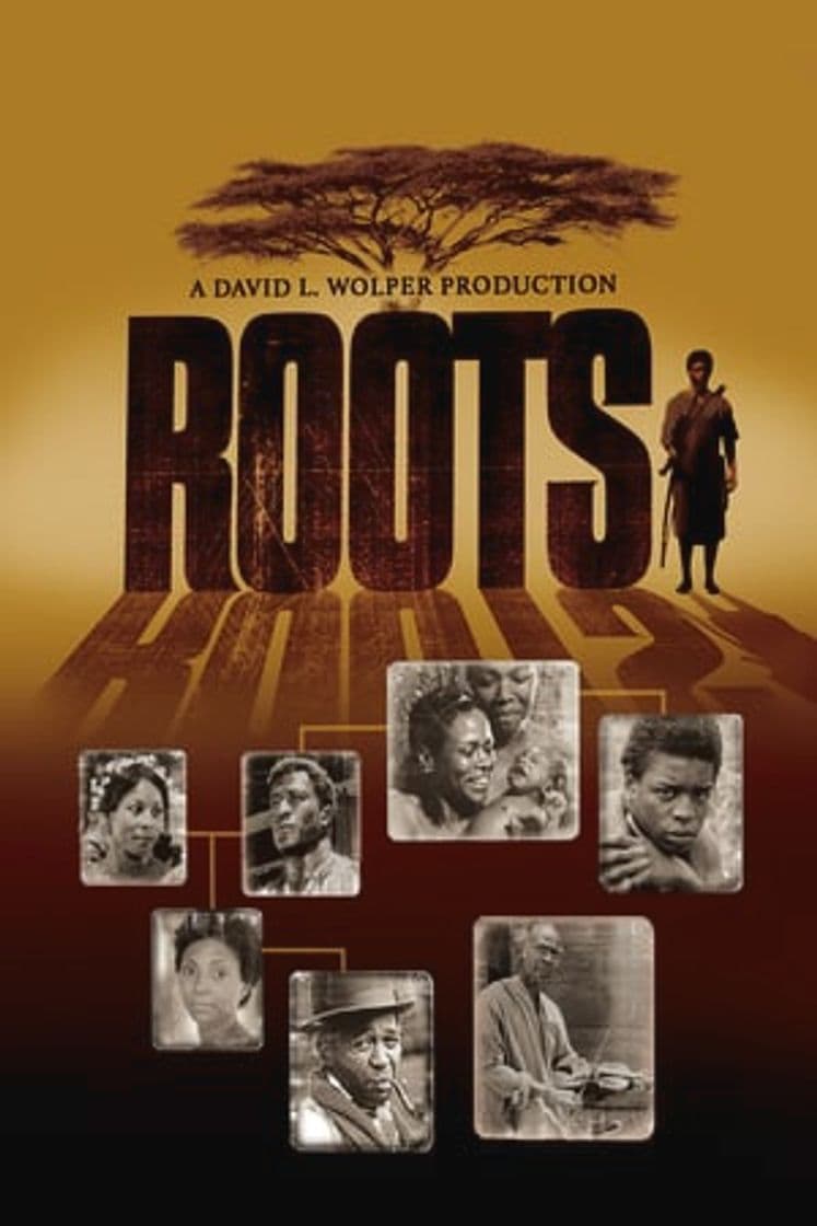 Serie Roots