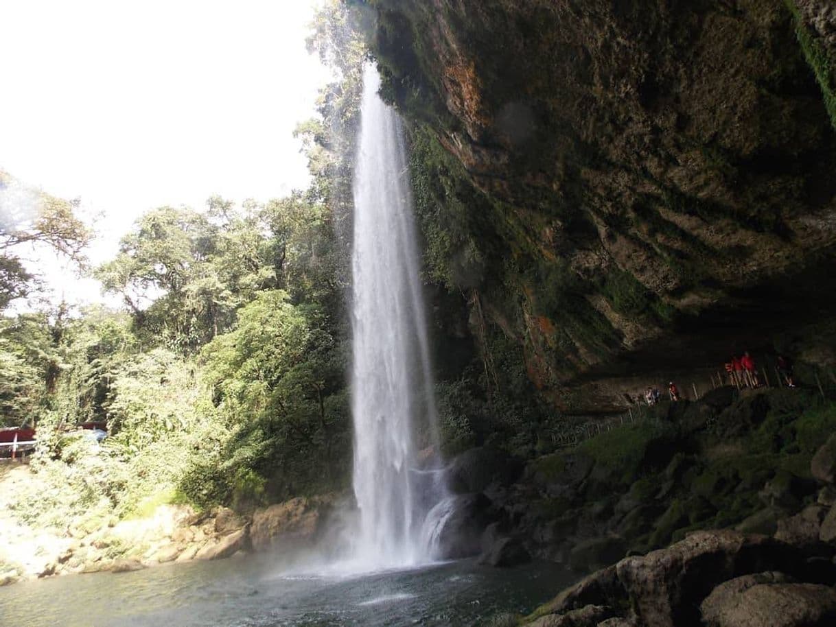 Lugar Cascada Misol-Ha