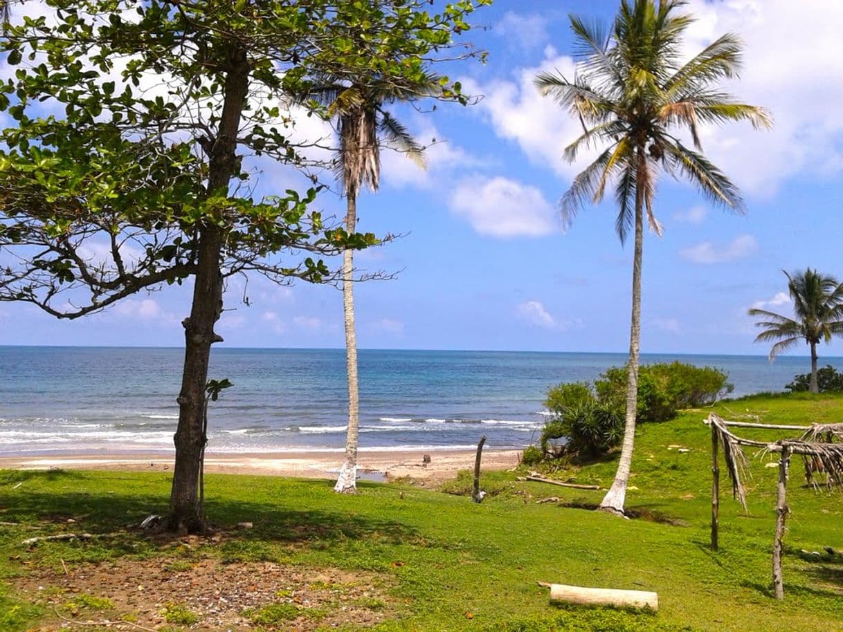 Lugar Playa Chaparrales