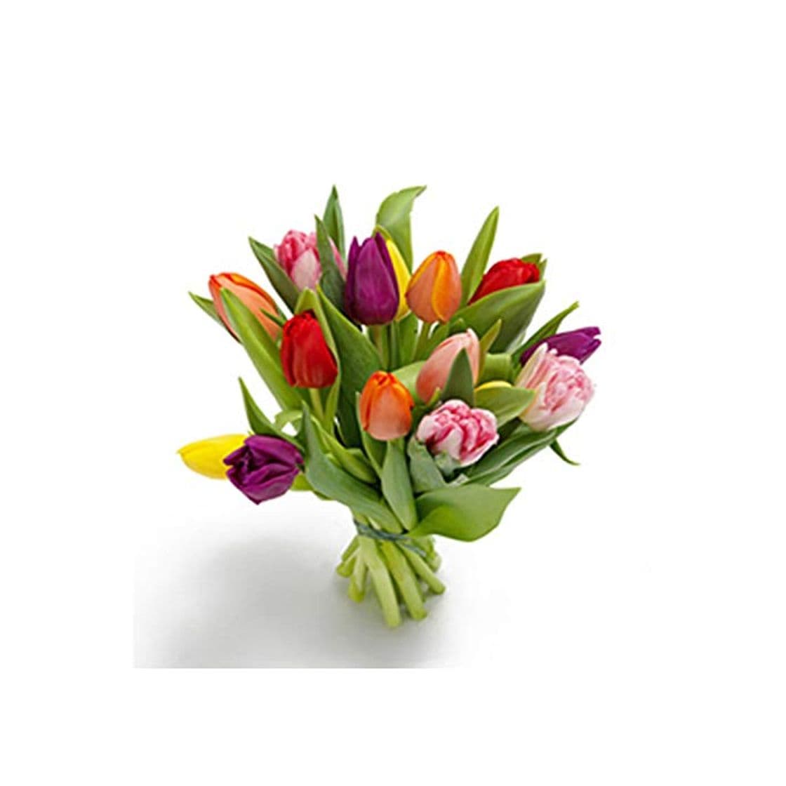 Product Florclick - Ramo de 15 Tulipanes con tarjeta dedicatoria gratuita