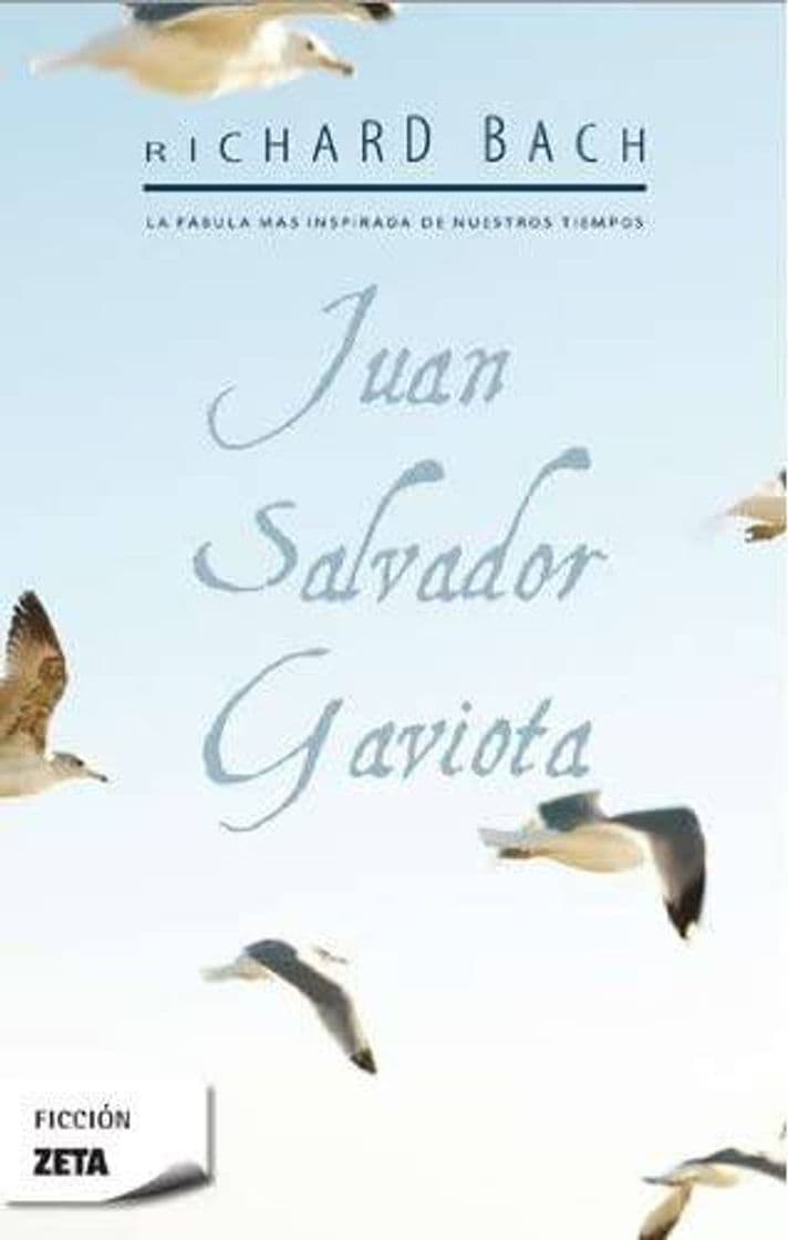 Libro Juan Salvador Gaviota