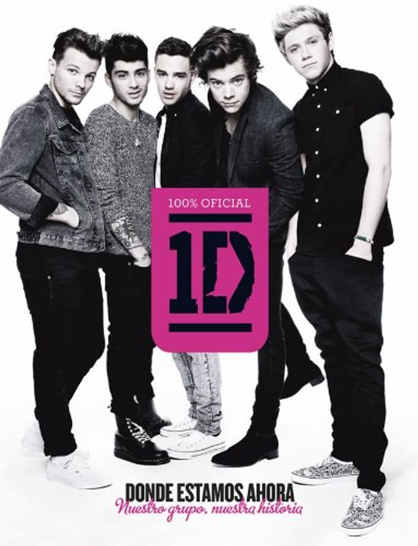 Book One Direction. Donde estamos ahora: Nuestro grupo, nuestra historia