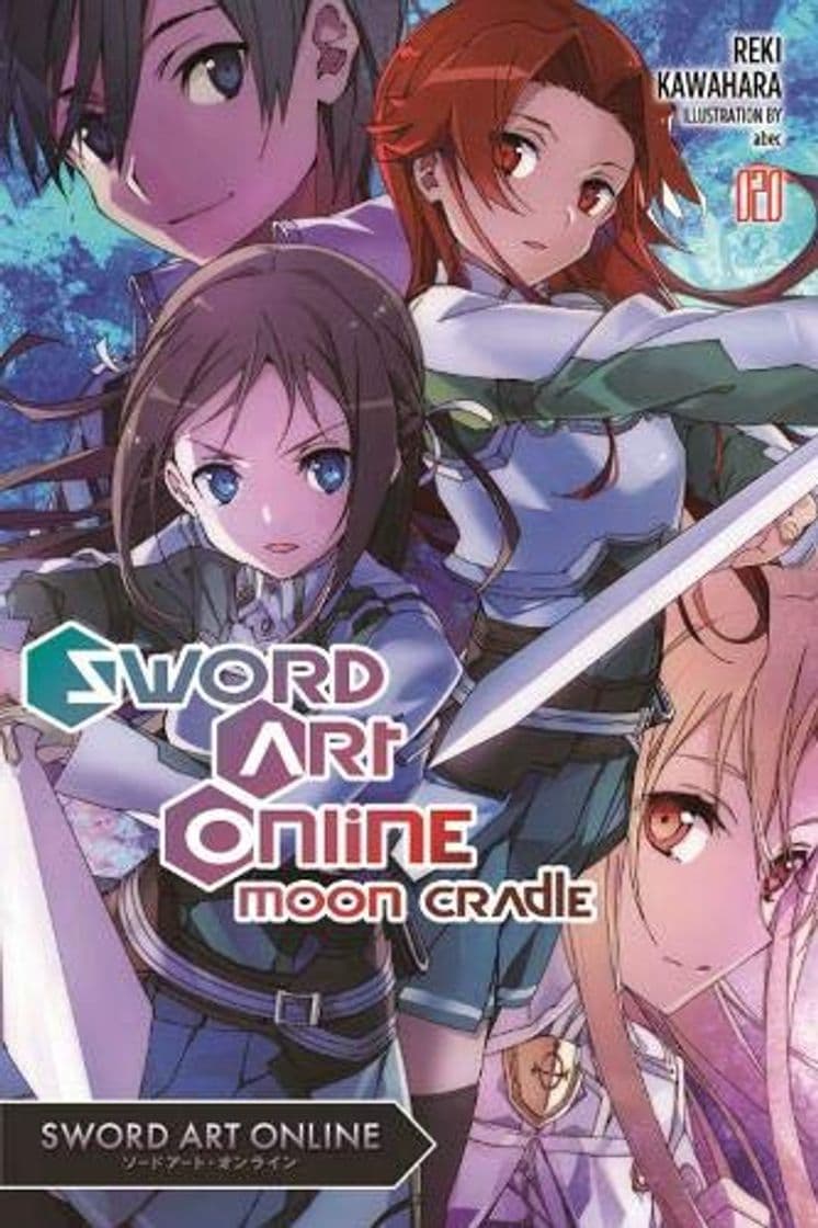 Book Sword Art Online, Vol. 20