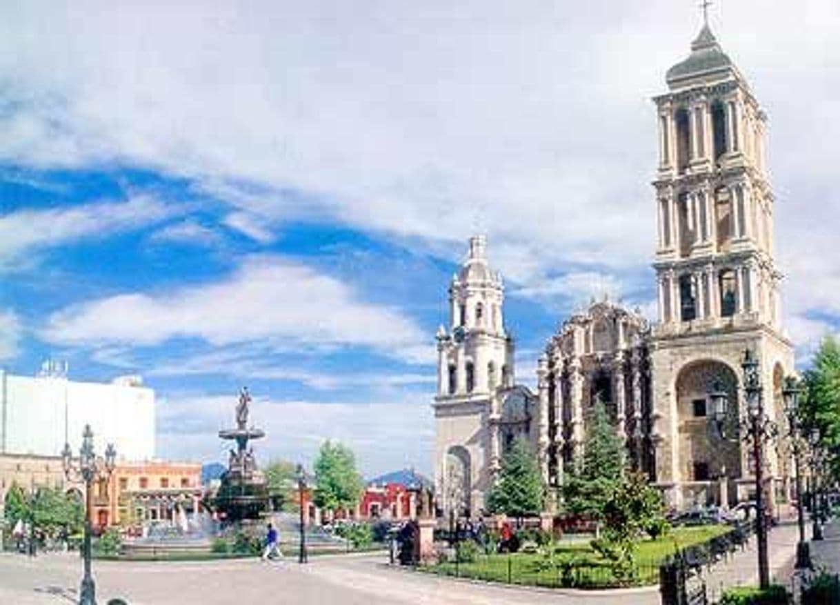 Lugar Saltillo