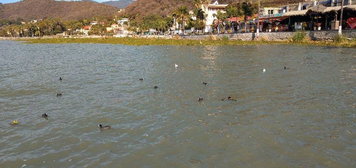 Lugar Lago de Chapala