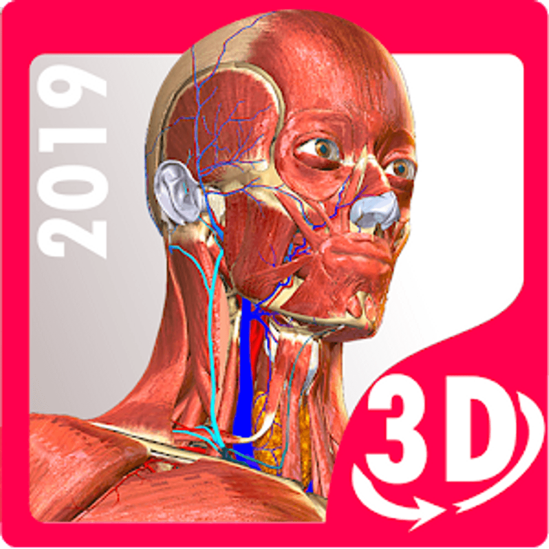 App Anaromy learning - 3D anatomy atlas