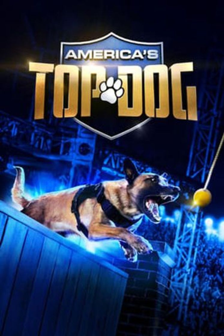 Serie America's Top Dog