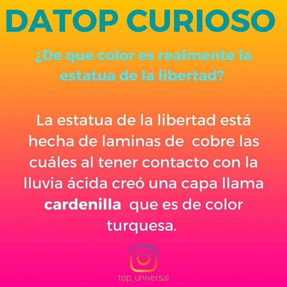 Fashion DATOP CURIOSO 