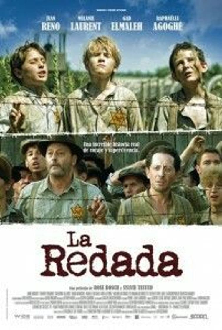 Película The Round Up