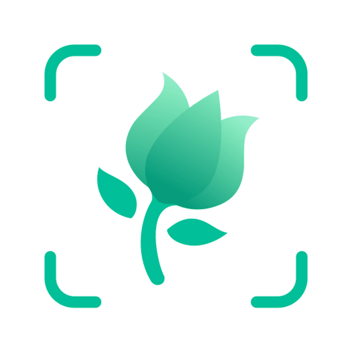 App PictureThis: Identify Plant, Flower, Weed and More - Apps on Google ...