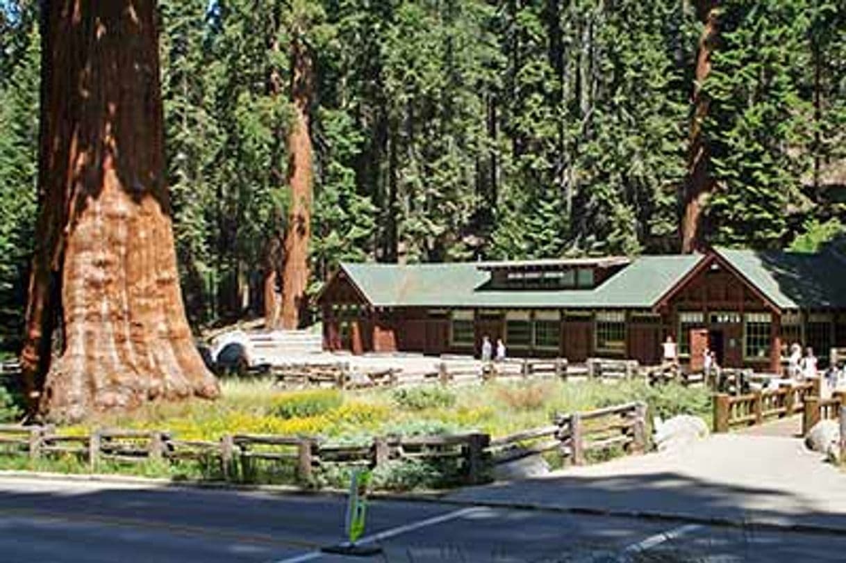 Lugar Sequoia National Park