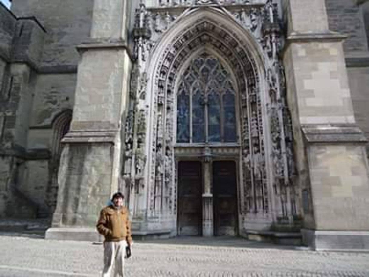 Place Lausanne Cathedral