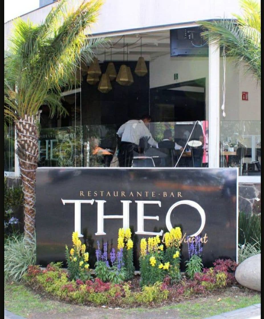 Restaurants Theo By Vincent