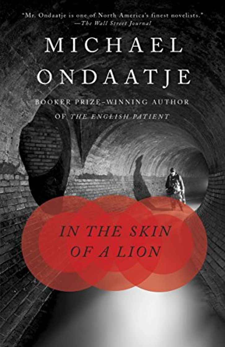 Book In the Skin of a Lion