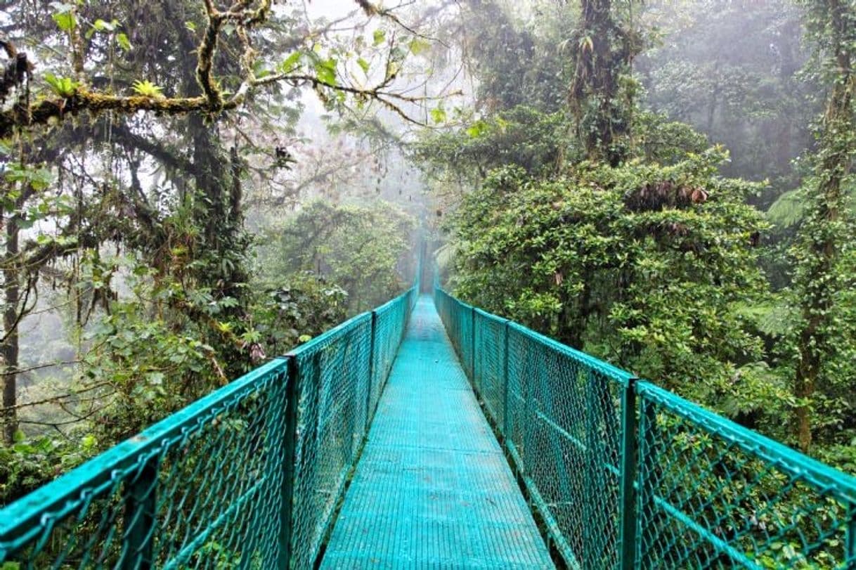 Lugar Monteverde Cloud Forest Biological Preserve