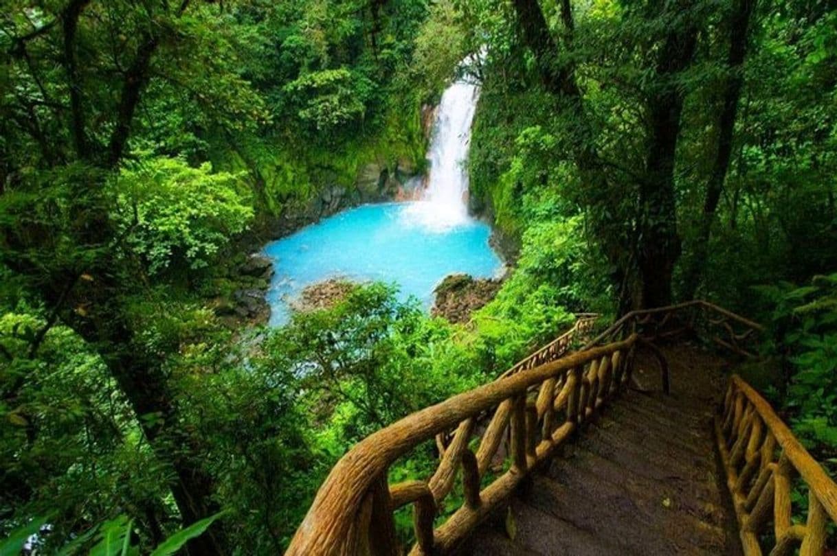 Lugar Tenorio Volcano National Park - Rio Celeste